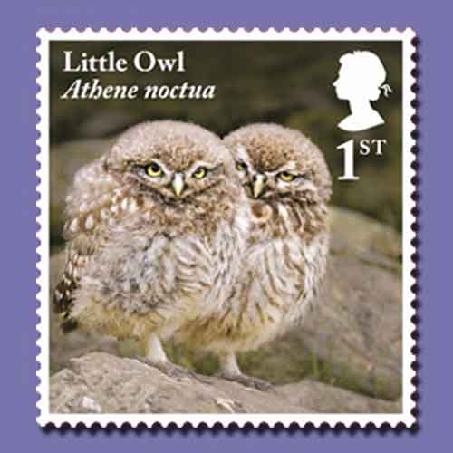 Owls-and-Owlets-on-Latest-Royal-Mail-Stamps