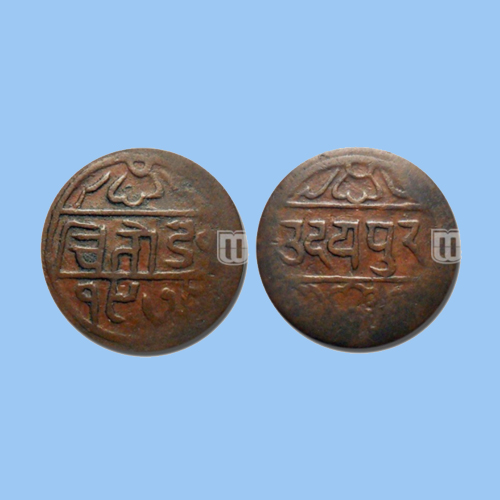 AstoundingBloom-on-Udaipur-Coins