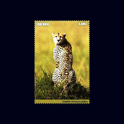 Commemorative-stamp-of-A-Cheetah