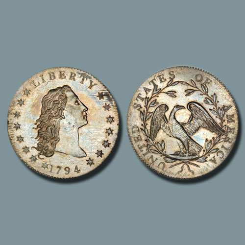 Flowing-Hair-Numismatic-Beauty