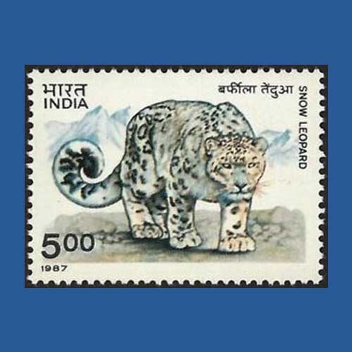 International Snow Leopard Day | Mintage World