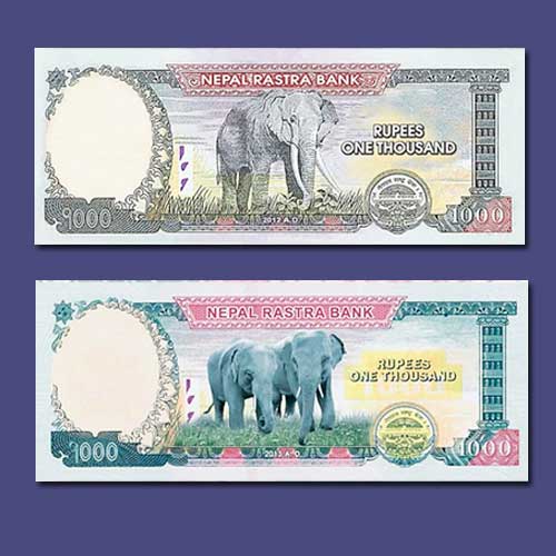 Twin-Asian-Elephants-on-Nepal’s-New-BankNote