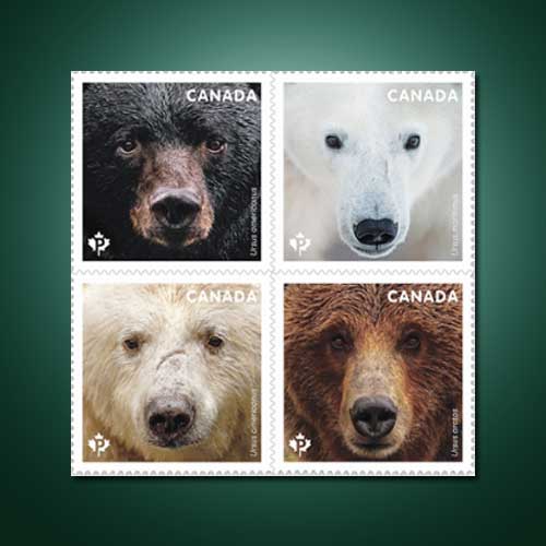 Wild-teddy-on-stamp