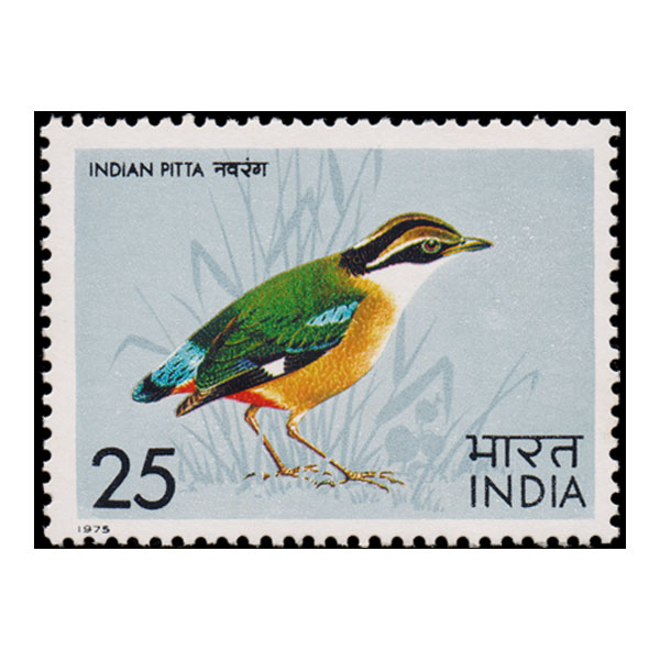 Indian Pitta Stamp