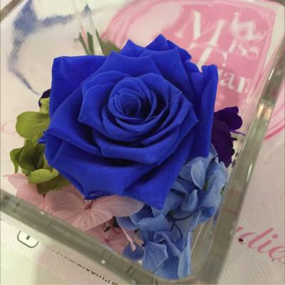 (14.08.2015) My blue rose 💙💙
#MissTiara #kckorea #baybaygarden
