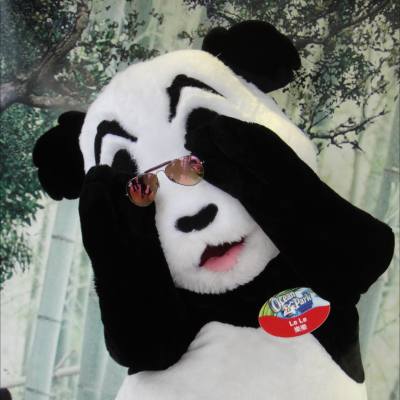 🐼樂樂都鍾意帶太陽眼鏡架😁