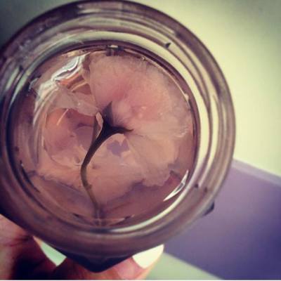 櫻花水玄信餅
｝三、四月適逢櫻花盛開的季節
｝呢個櫻花甜品靚到我都唔捨得食
｝係小清新口味，唔會太甜
｝櫻花花瓣仲帶有少許鹽味

銷售點：白紙工作室 & 神經餵飼
價錢：HKD 48-50

#櫻花 #櫻花甜品
#我想返工去shopping
#我想返工去Shopping
#見習購物狂
#MissTiara