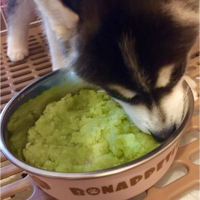 ❤️Cola BB鮮食❤️ 為咗Cola BB狗狗生涯健健康康，我決定每星期親手整嘢食俾佢。

第一步，當然係要令佢腸胃更健康。整個椰菜溶俾佢食。食得好開心～ 🐶🐶🐶 

#Staiceliu #puppy #husky #petstagram #tagsforlove #lovepet #instalove #doggie #dogs #huskypet #babydog  #doogielove #ilovemydog #dogoftheday #photooftheday #photoofthedog #picoftheday #cute #cutepuppy #cutedog #cola #hkig #hkiger #lovepet #petlover #doglover #huskylover #hk #hkpet #Staice #dog #dogFood #food #puppyfood