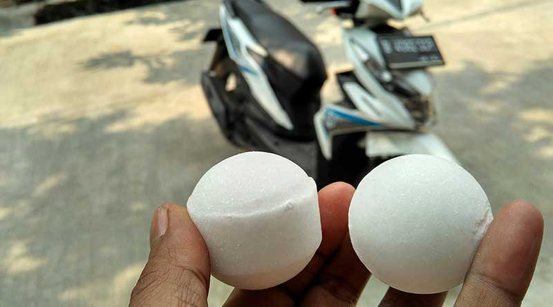 3 Cara Motor Matic Terhindar Dari Hewan Pengerat 3 Cara Motor Matic Terhindar Dari Hewan Pengerat