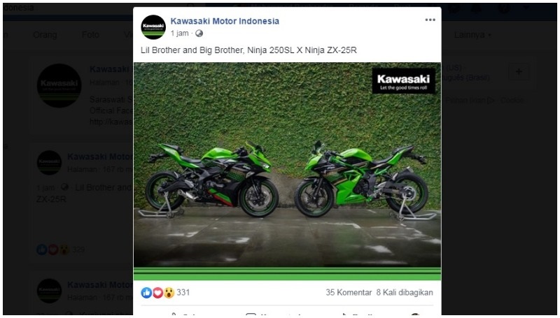 kawasaki zx-25r