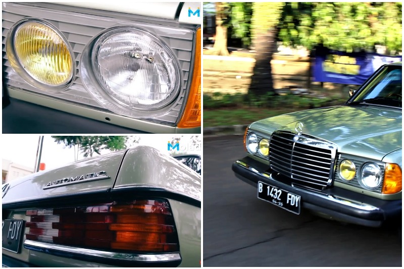 Mercy Tiger Euro vs US Style, Ini 4 Perbedaanya! mercy tiger euro vs us style
