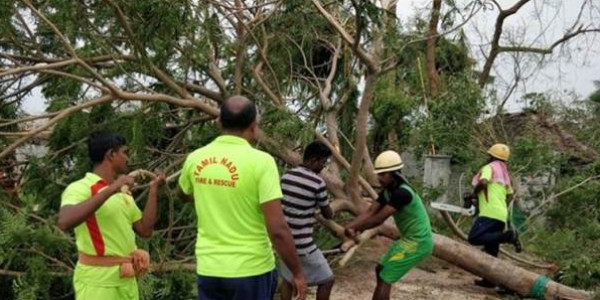 Cyclone Gaja: 7 districts in Tamil Nadu affected, 13 killed