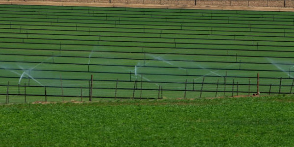 NCP alleges Rs 40,000 crore scam in Maharashtra irrigation projects