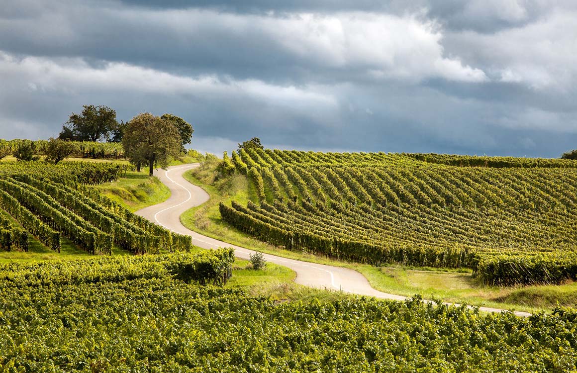 mOOnshot digital marketing agency Singapore - Social Media Case Study - Wine Delivery end