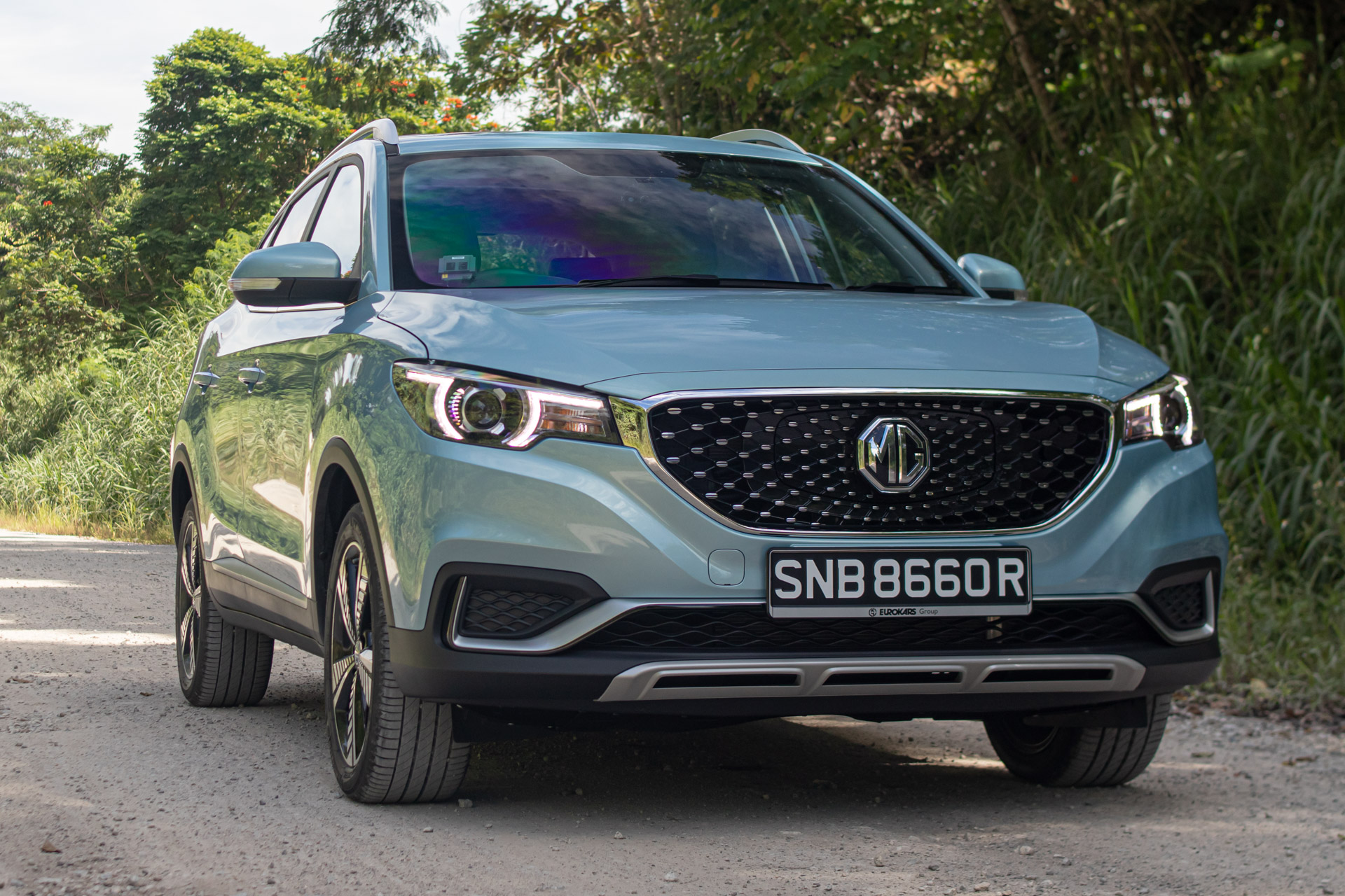 Editors%2 Fimages%2 F1642735822349 Mg+Zs+Closeup