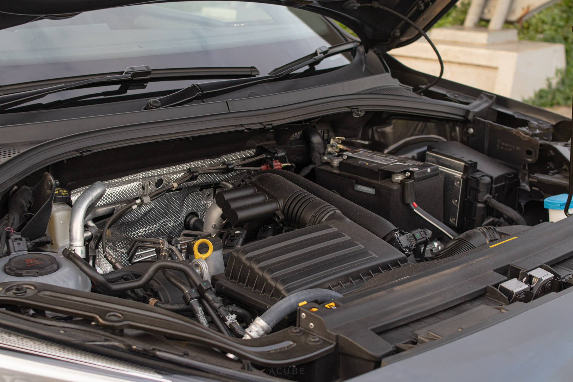 Editors%2 Fimages%2 F1646953269165 Taracco 10