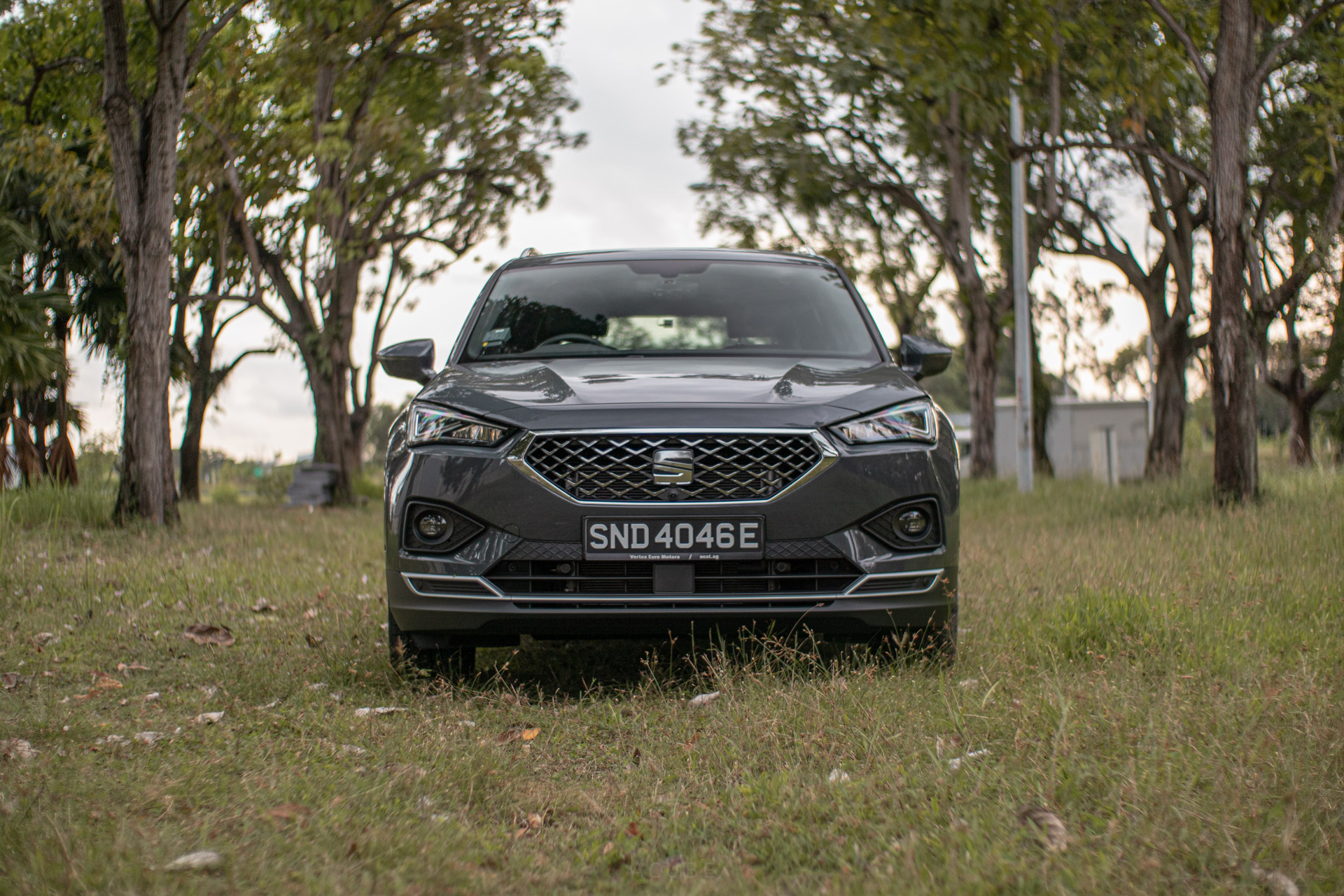 Editors%2 Fimages%2 F1646953487140 Taracco 12