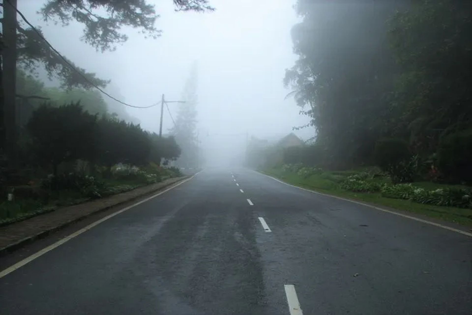 Editors%2 Fimages%2 F1654505386376 Frasers Hill