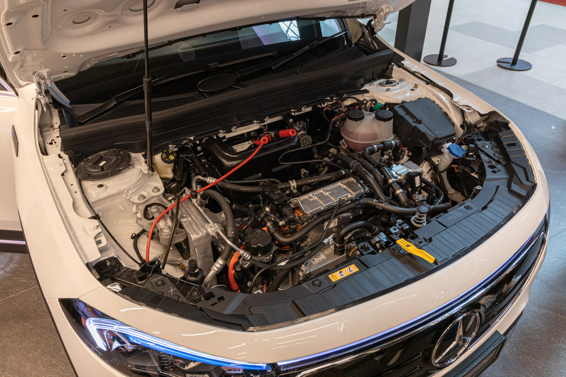 Editors%2 Fimages%2 F1661907672941 Eqb 5