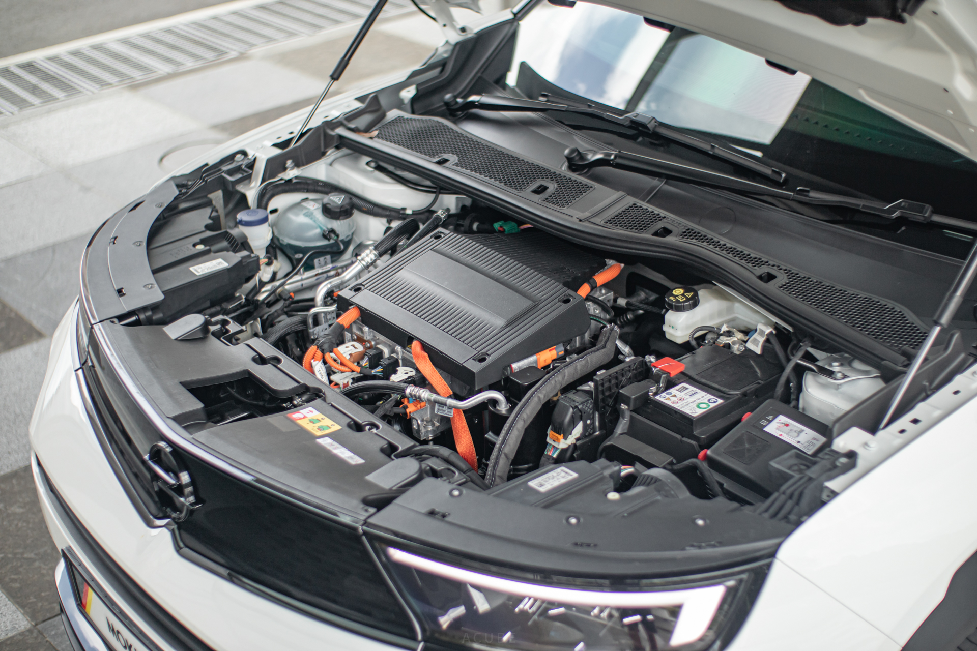 Editors%2 Fimages%2 F1665960122701 Mokka E 17