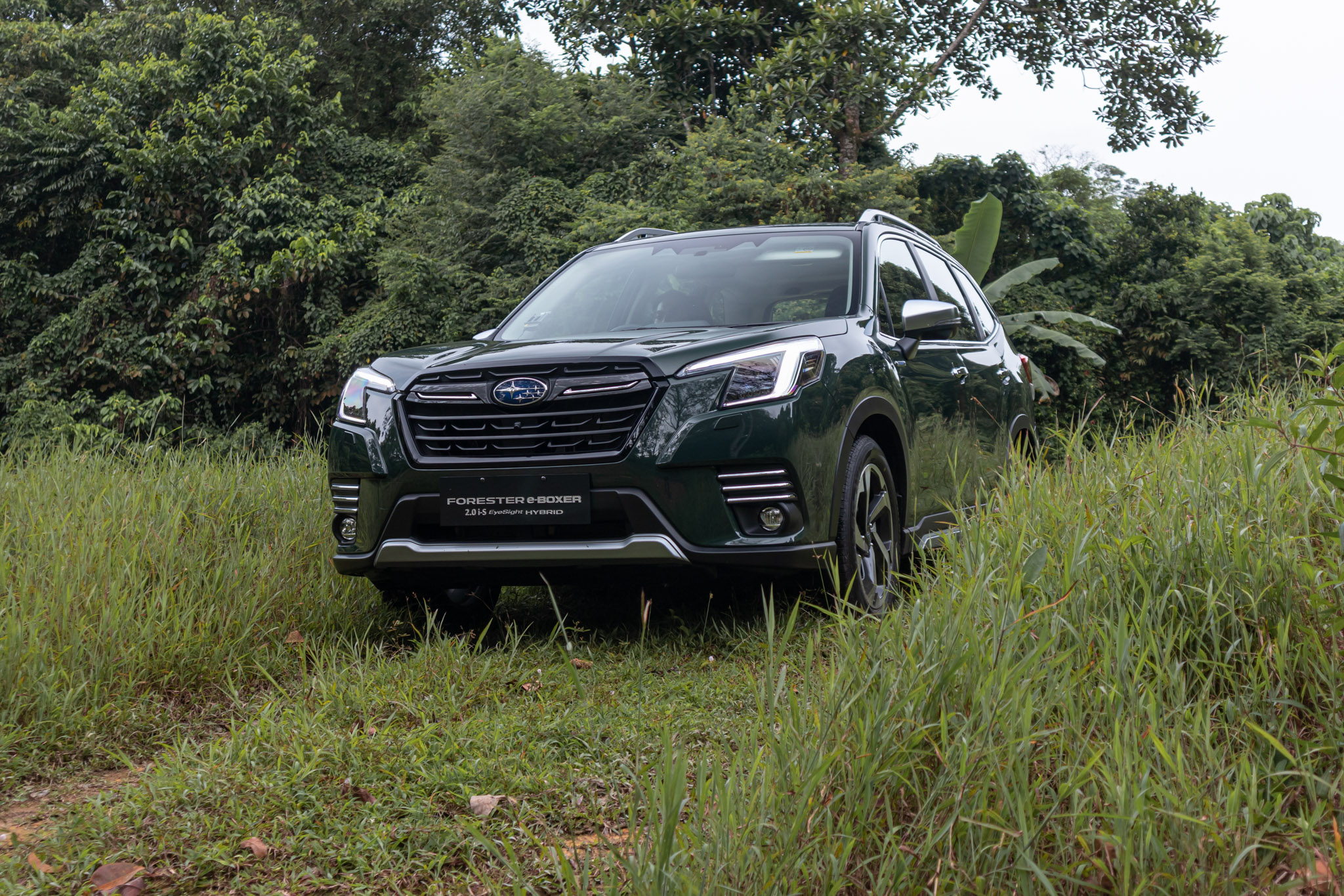 Editors%2 Fimages%2 F1666337896088 Awd+I