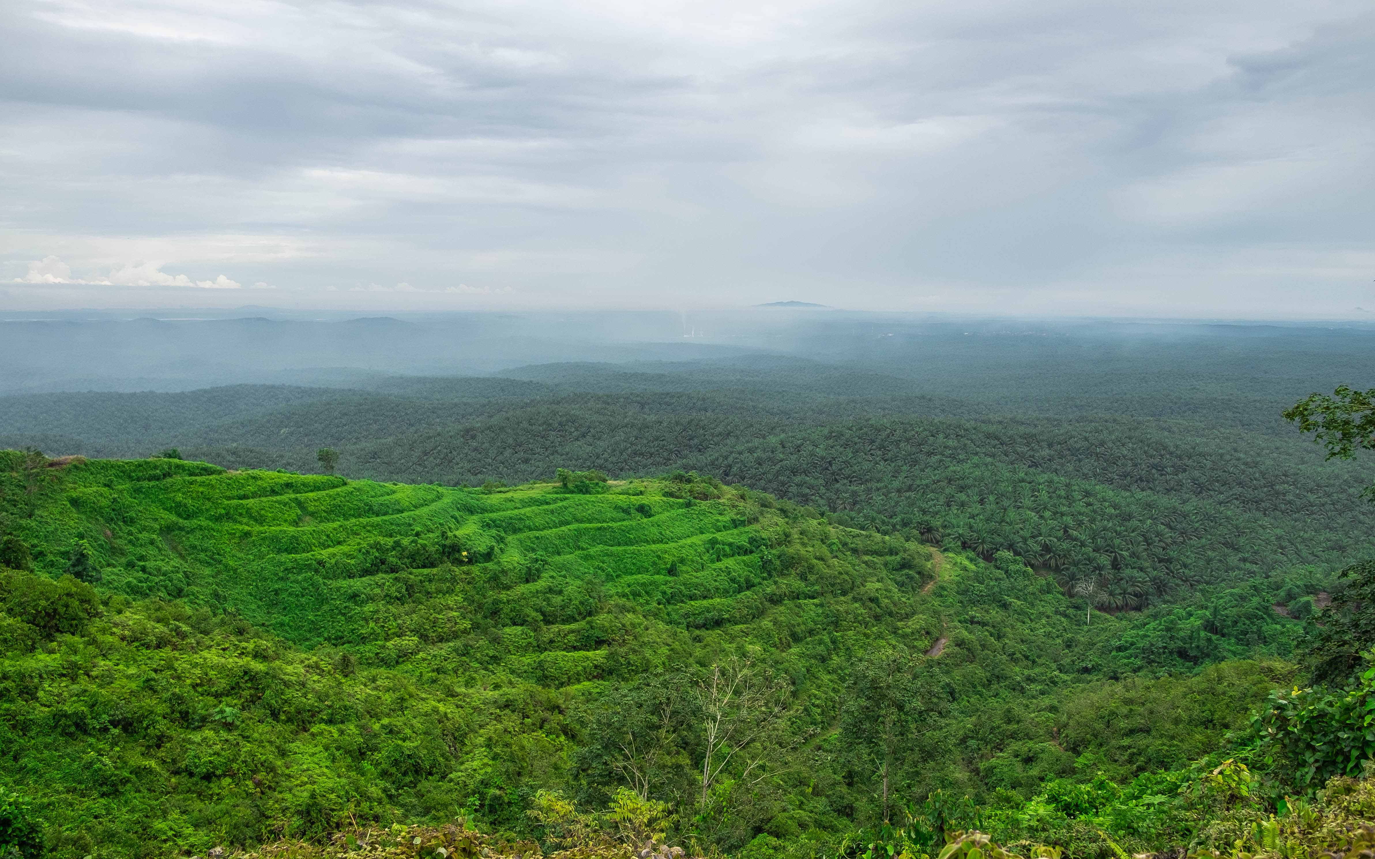 Editors%2 Fimages%2 F1690172990273 Scenery1