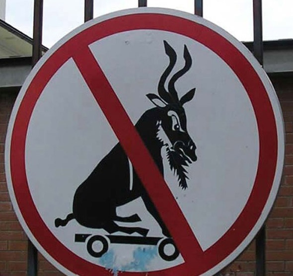 Editors%2 Fimages%2 F1692355919759 Piaa4s3yvz2h Ir4i Yhv8 O