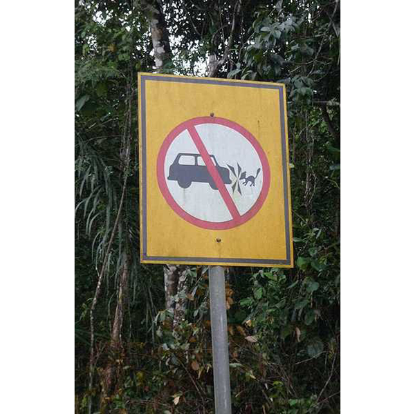 Editors%2 Fimages%2 F1692599781525 4 Result F181