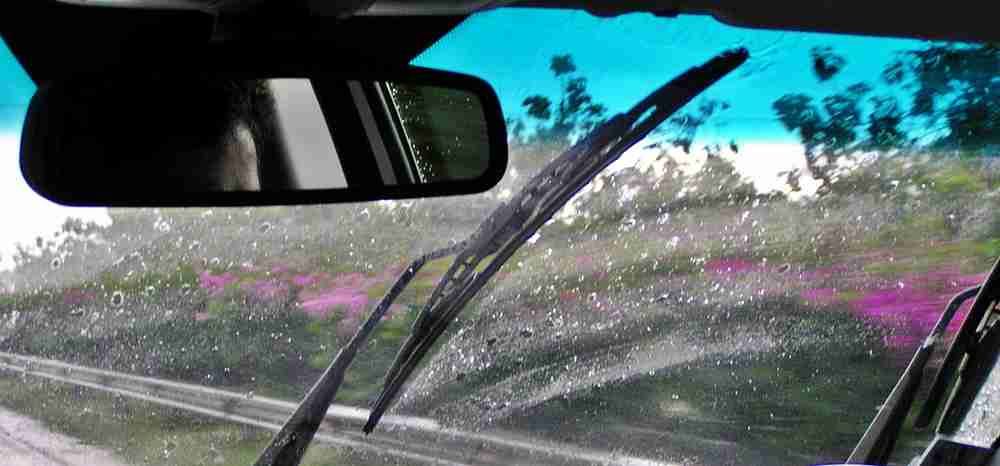 Editors%2 Fimages%2 F1698131885871 Image+1