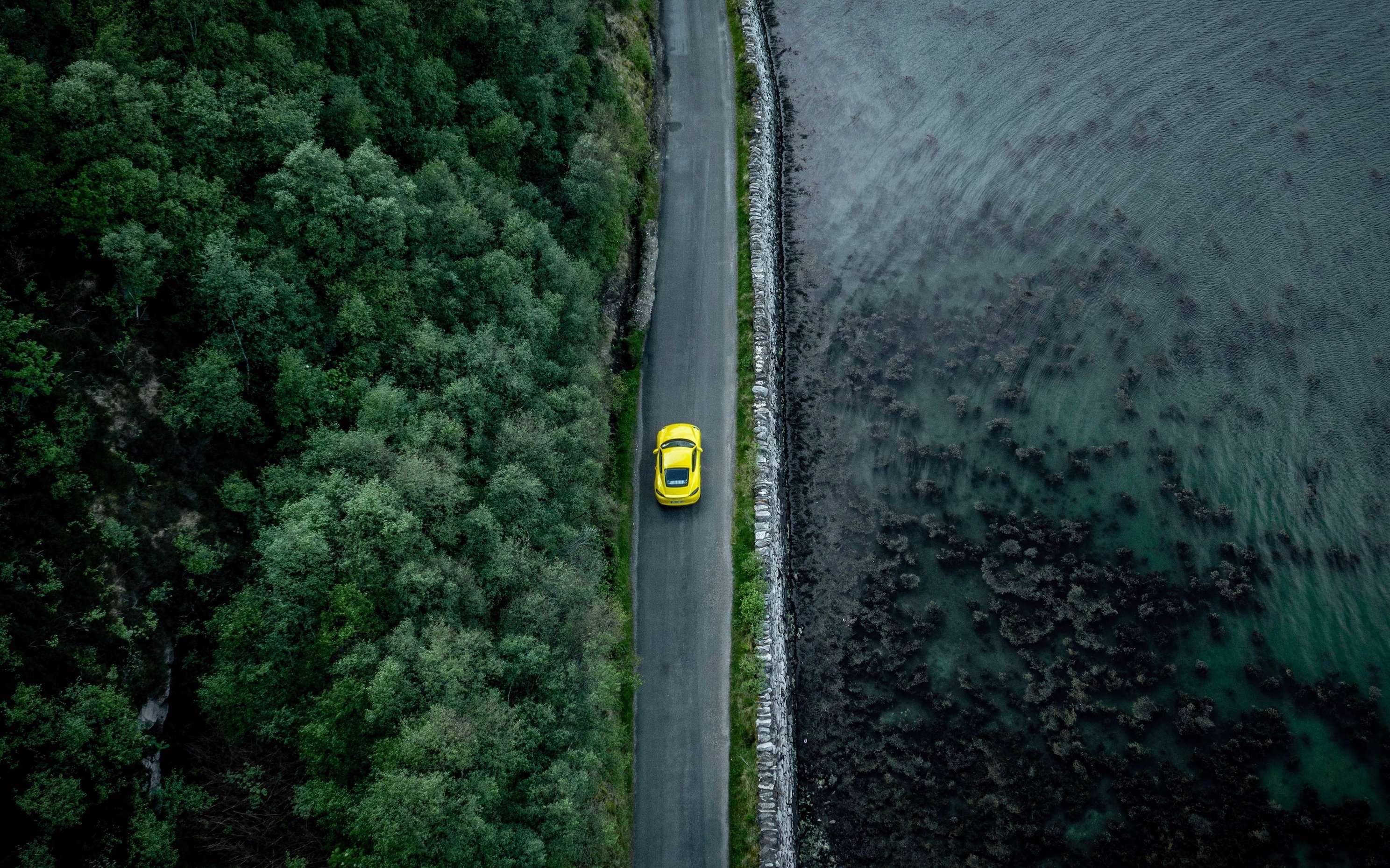 Editors%2 Fimages%2 F1706625752539 Road+Trip+Safety+ +Featured