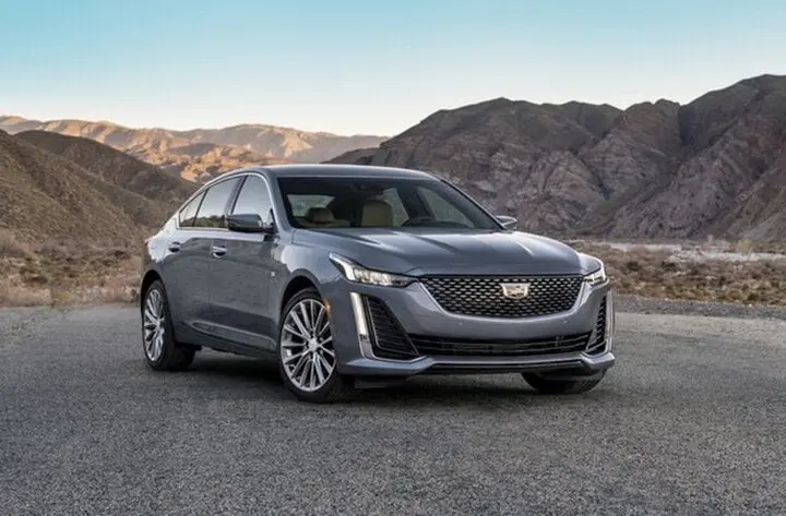 Editors%2 Fimages%2 F1711077485687 1711077485687