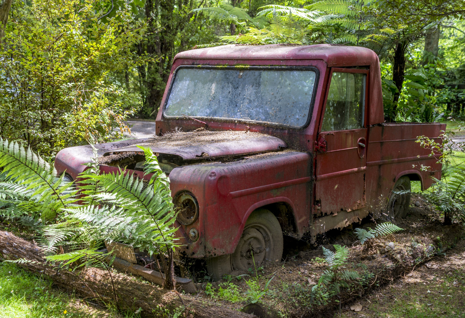 Editors%2 Fimages%2 F1711530210107 Rusty Red Car Lying Abandoned Forest Surrounded By Trees+%281%29