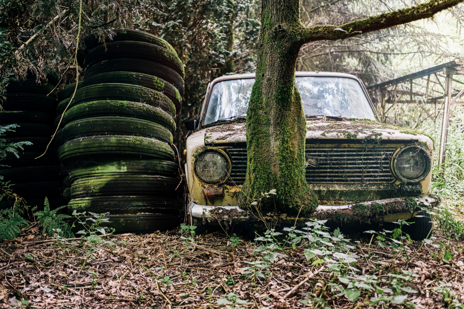 Editors%2 Fimages%2 F1711531751690 Picture Derelict Abandoned Car Forest
