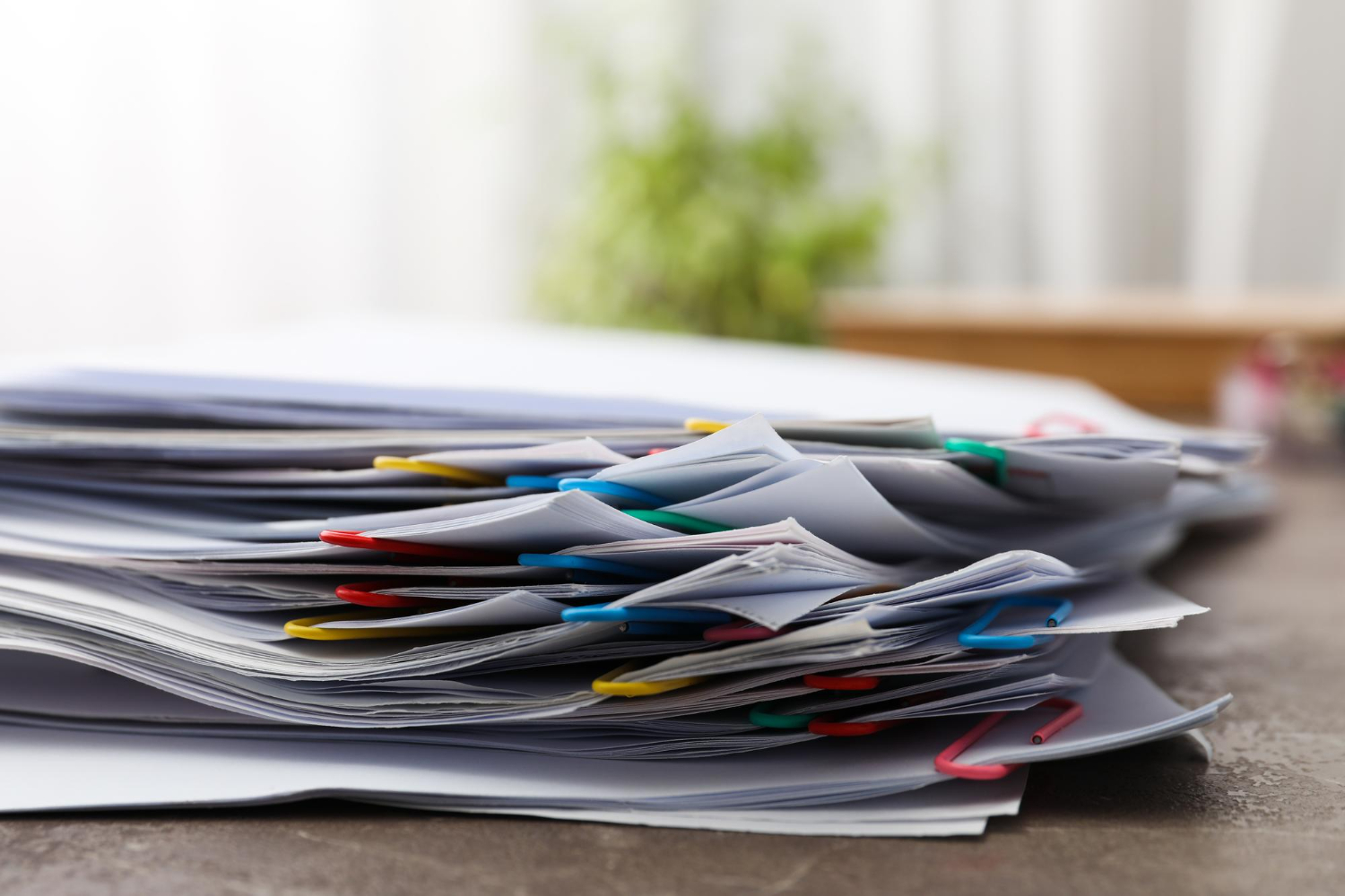 Editors%2 Fimages%2 F1713337330820 110320