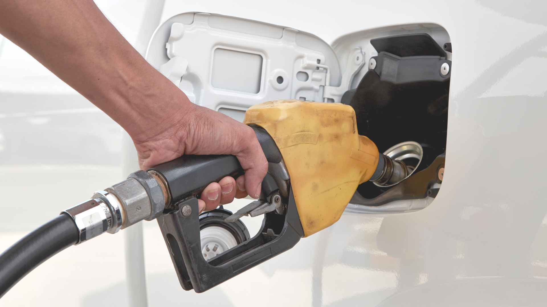 Editors%2 Fimages%2 F1713491407569 Untitled+Design+%2818%29