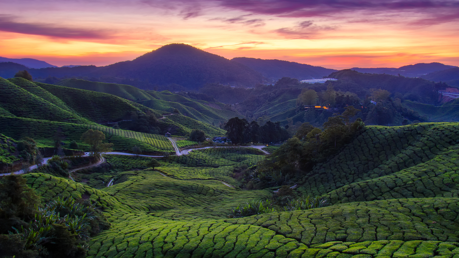 Editors%2 Fimages%2 F1713770010534 Untitled+Design+%2824%29