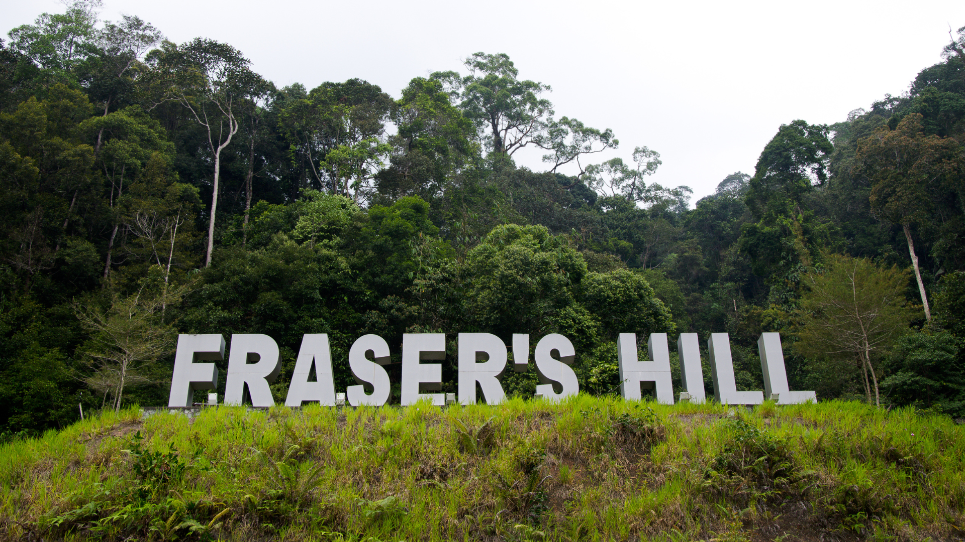 Editors%2 Fimages%2 F1714371335897 Byd+Vs+Tesla+%288%29