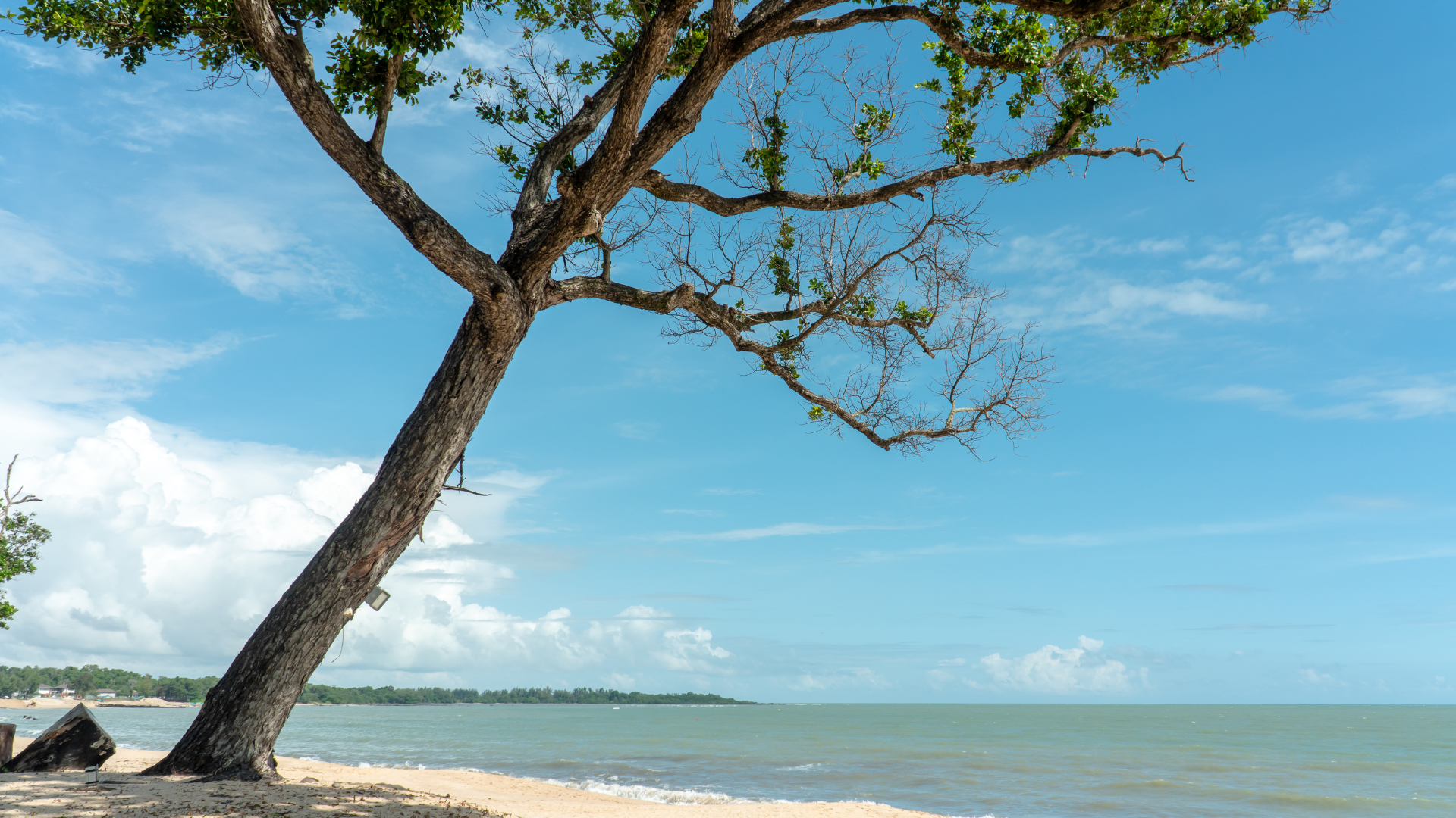 Editors%2 Fimages%2 F1714371510720 Byd+Vs+Tesla+%2811%29