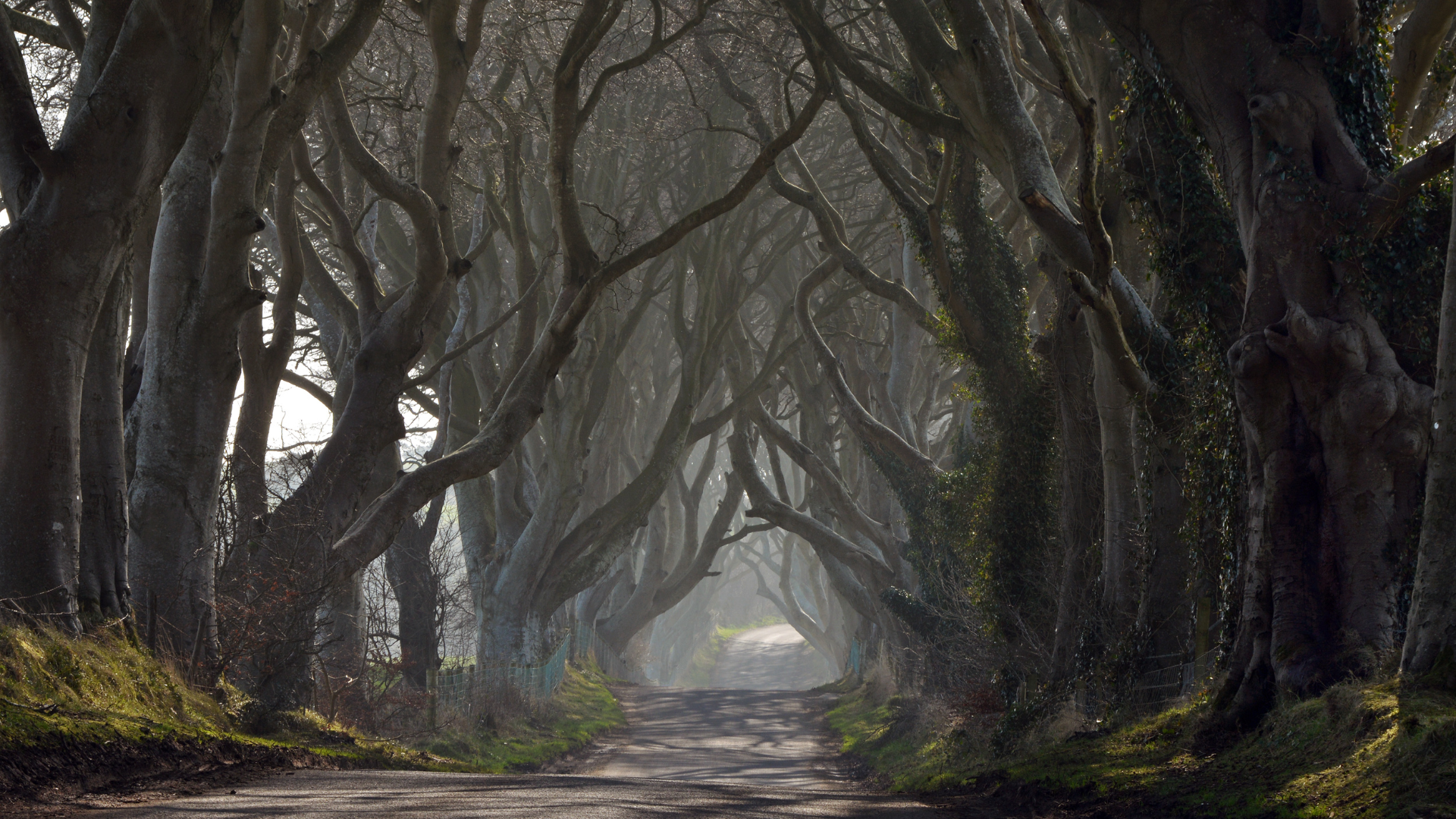 Editors%2 Fimages%2 F1715830214834 Traffic+Jams+%2814%29