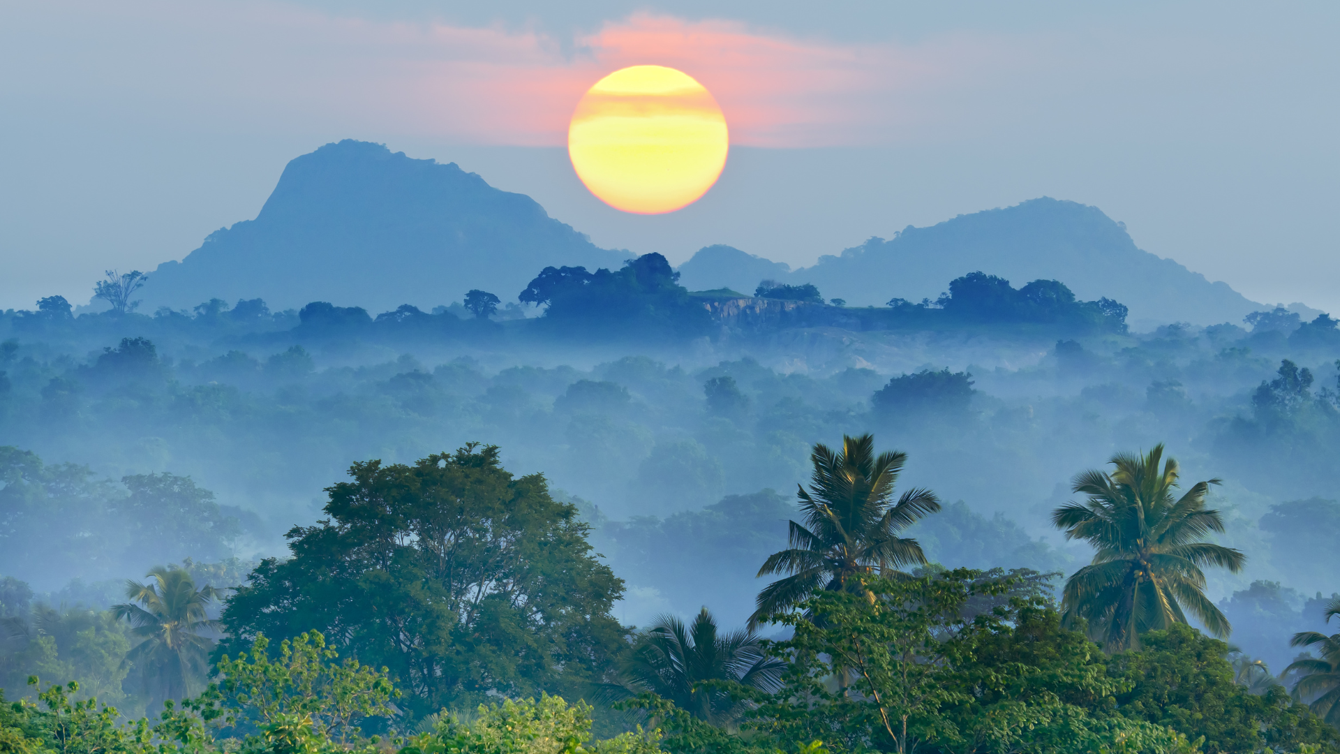 Editors%2 Fimages%2 F1715915274483 Traffic+Jams+%2822%29