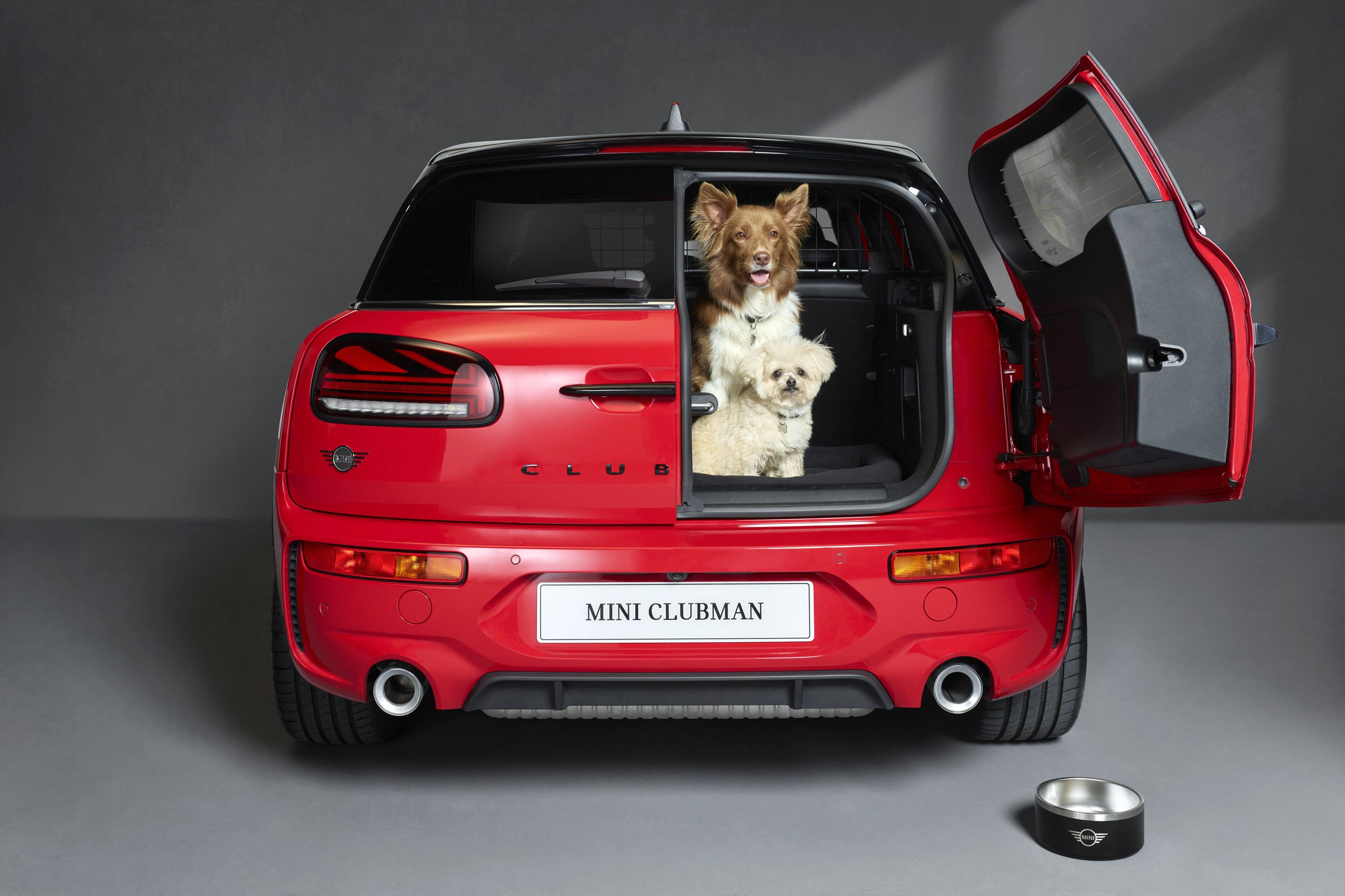 Editors%2 Fimages%2 F1716727119427 Motormouth+ +Pets+Can+Have+Car+Names%2 C+But+Petrolheads+Shouldn%27t+Name+Themselves+After+Car+Brands+ +Ph+Pic1