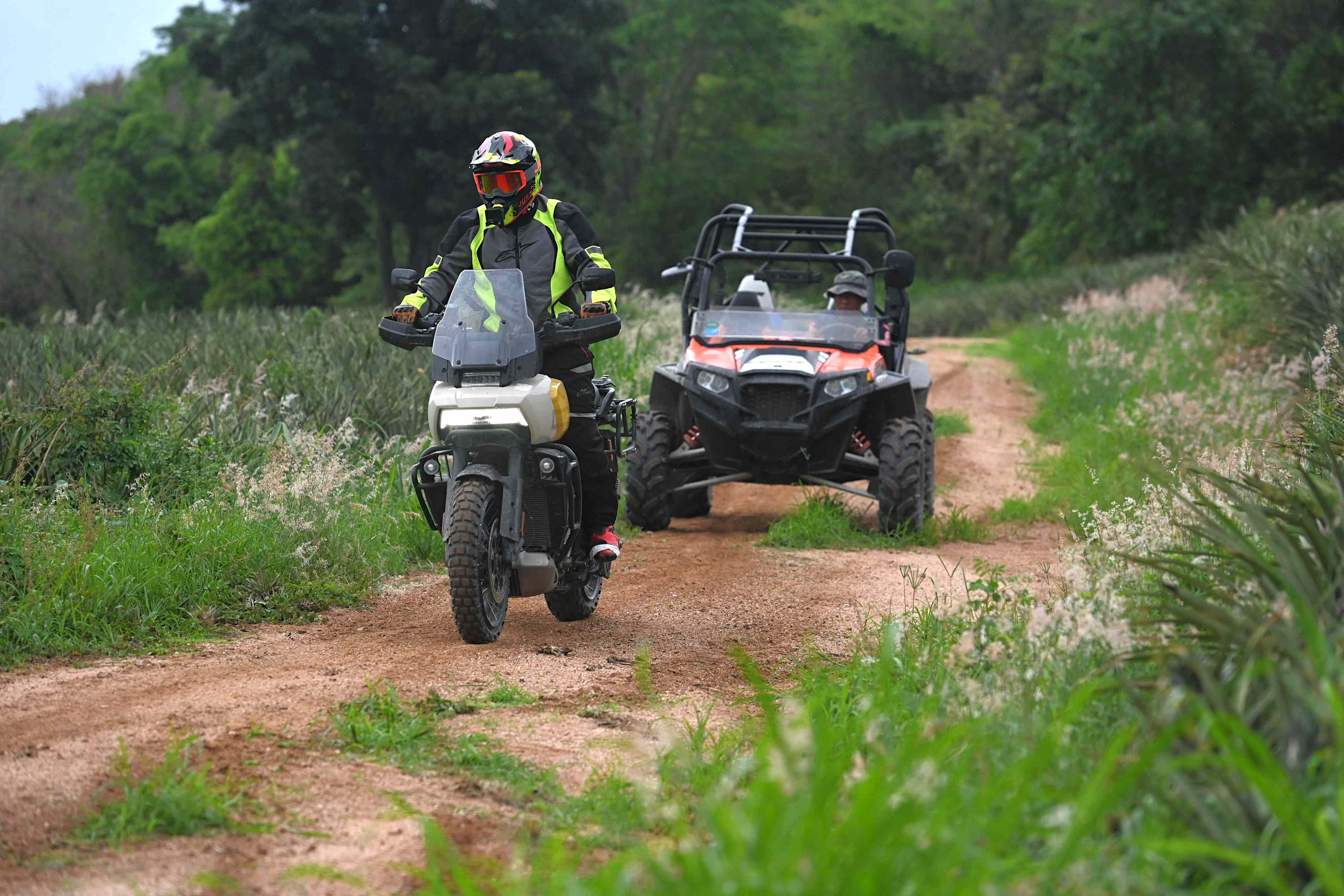 Editors%2 Fimages%2 F1717147439943 Dirt+2 Au 5049 Fotor