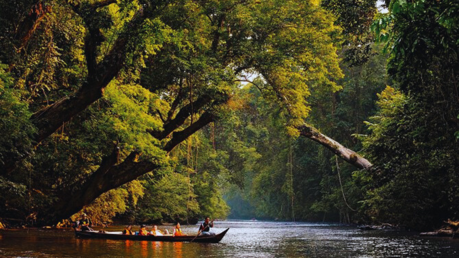 Editors%2 Fimages%2 F1717484841029 Taman+Negara+National+Park