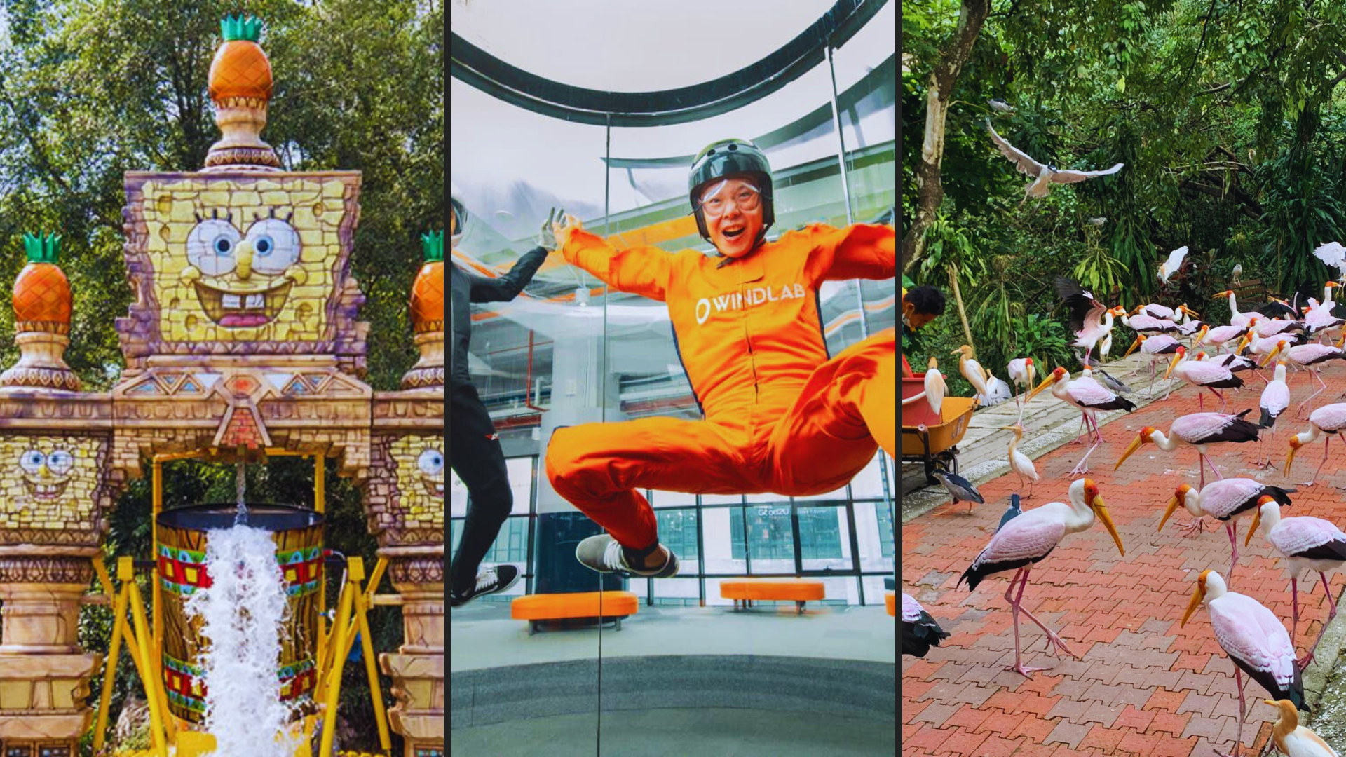 Editors%2 Fimages%2 F1717573791914 30+Things