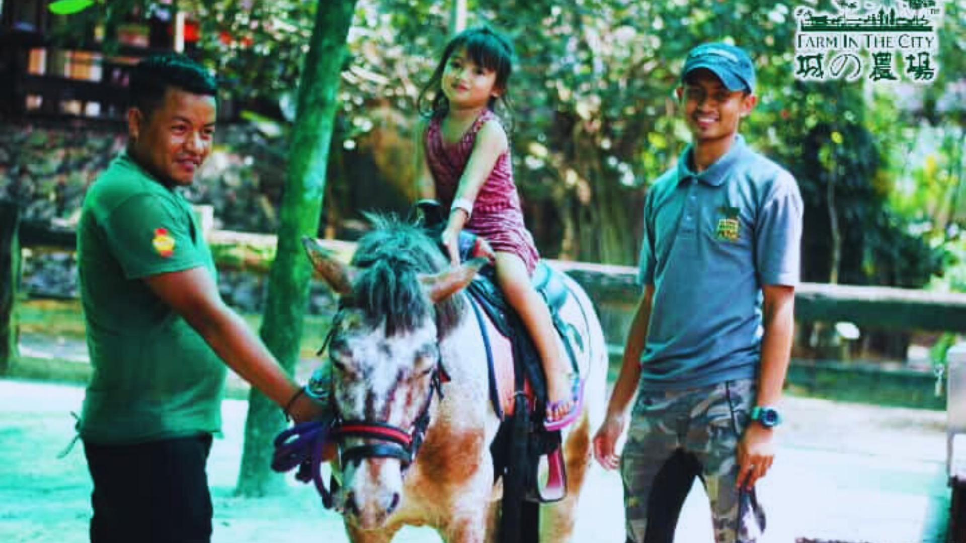 Editors%2 Fimages%2 F1717482888869 Farm+In+The+City