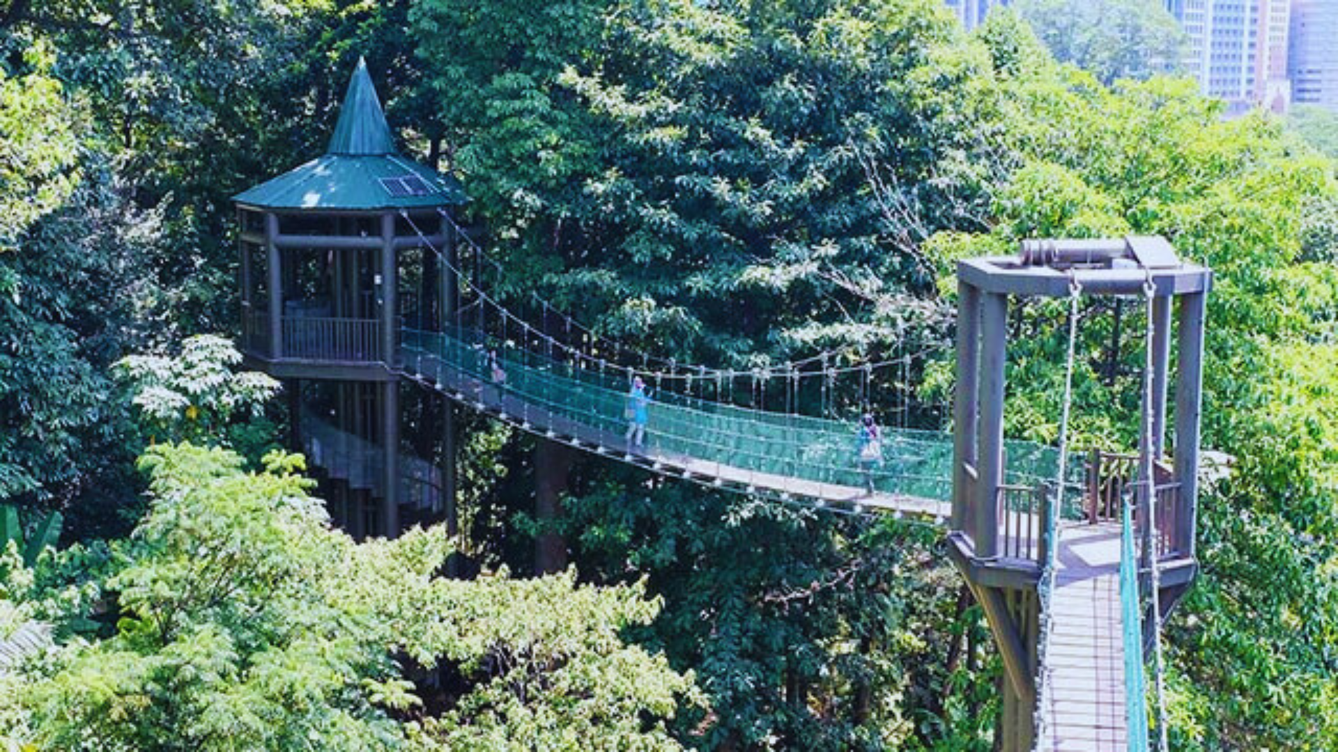 Editors%2 Fimages%2 F1717482960619 Kl+Forest+Eco+Park