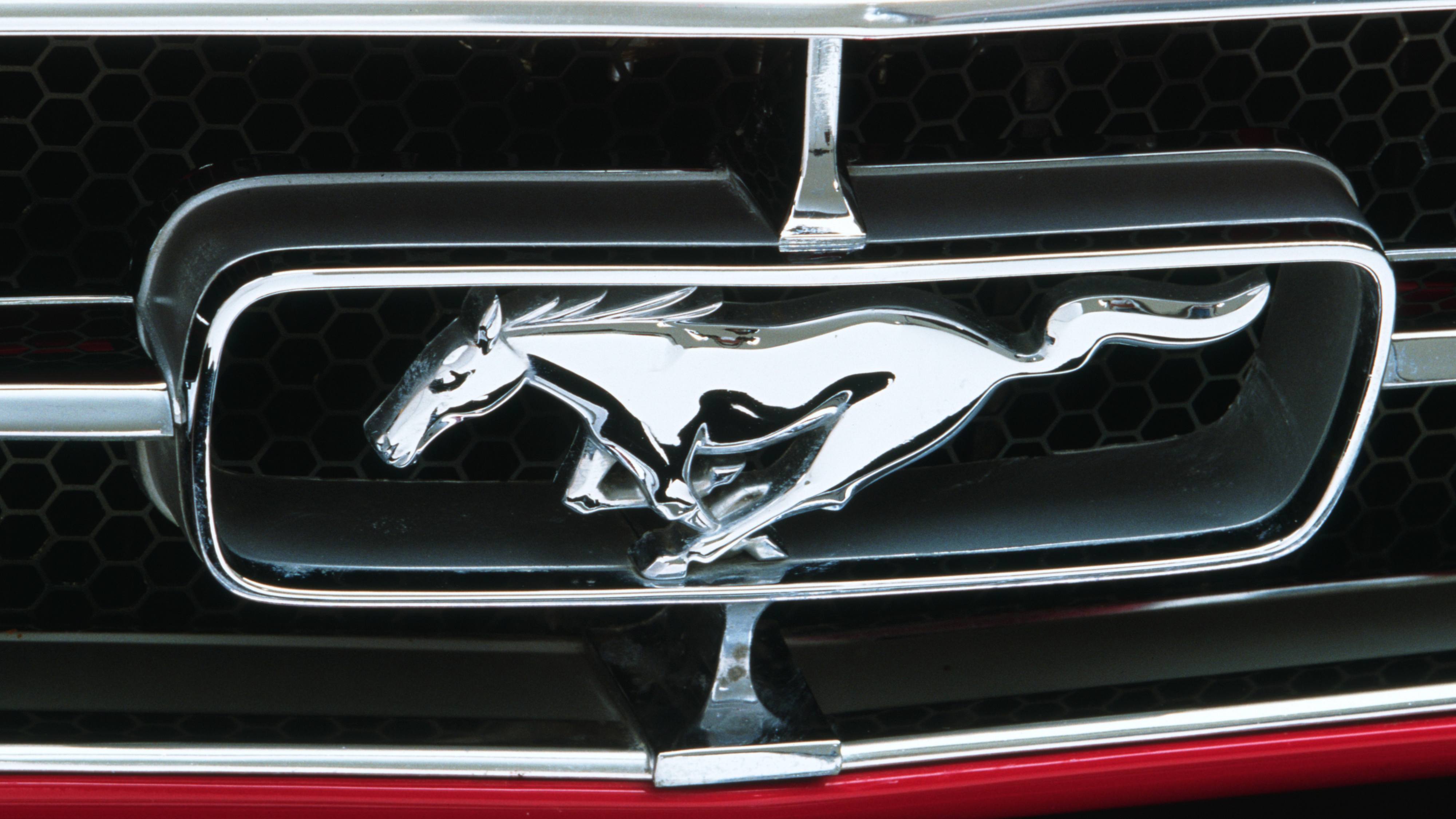 Editors%2 Fimages%2 F1717654429210 2024+Chinese+Zodiac+Fortune+Predictions+ +Horse