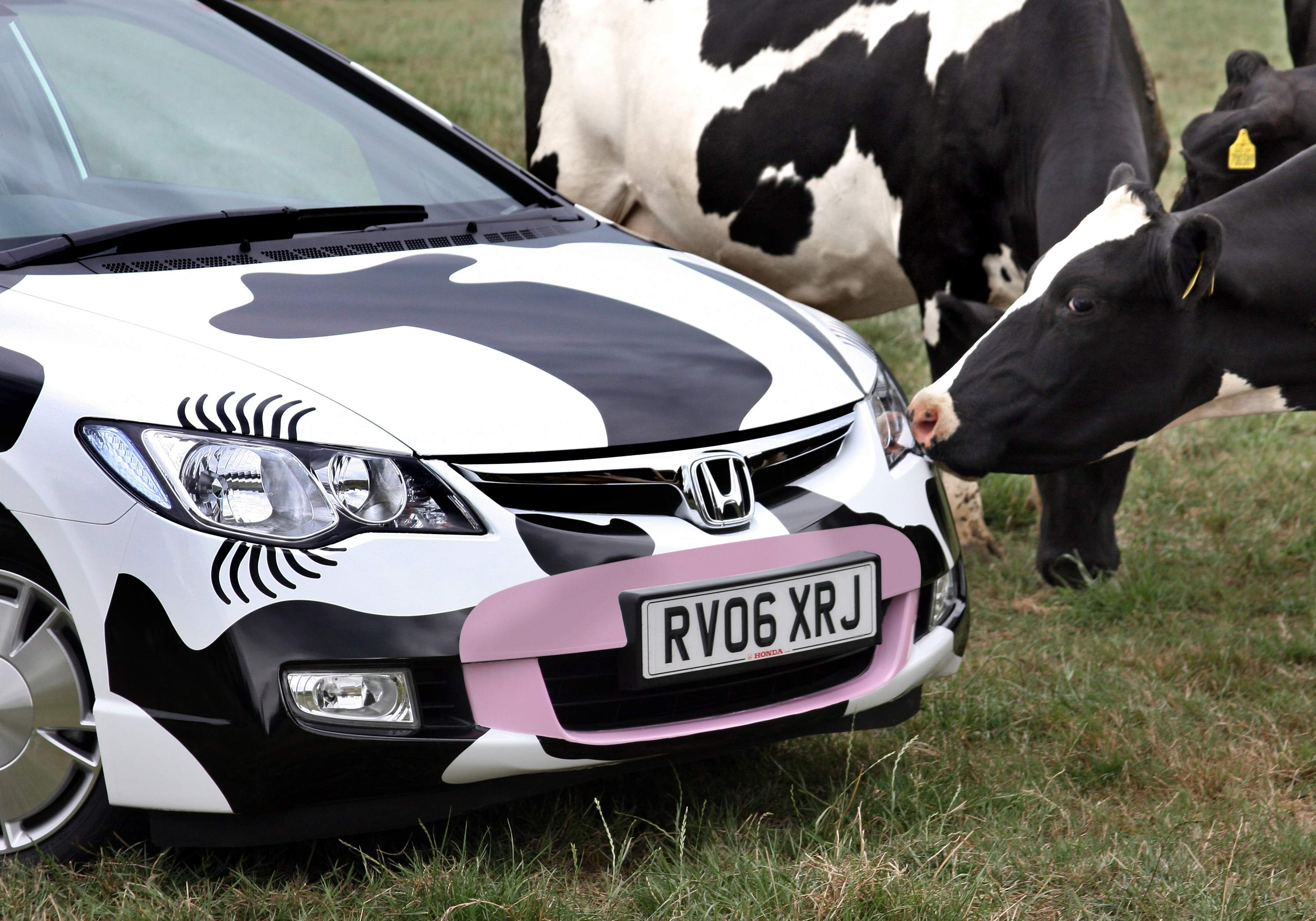 Editors%2 Fimages%2 F1717655300884 2024+Chinese+Zodiac+Fortune+Predictions+ +Ox