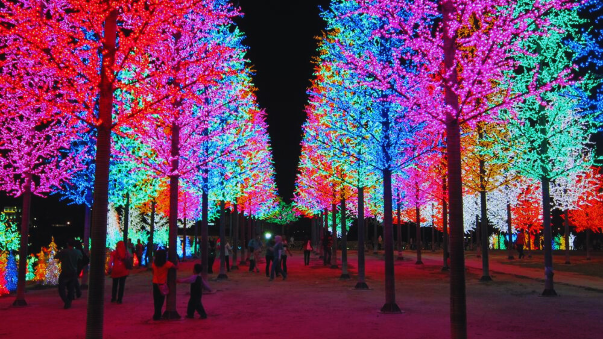 Editors%2 Fimages%2 F1717727972951 Icity