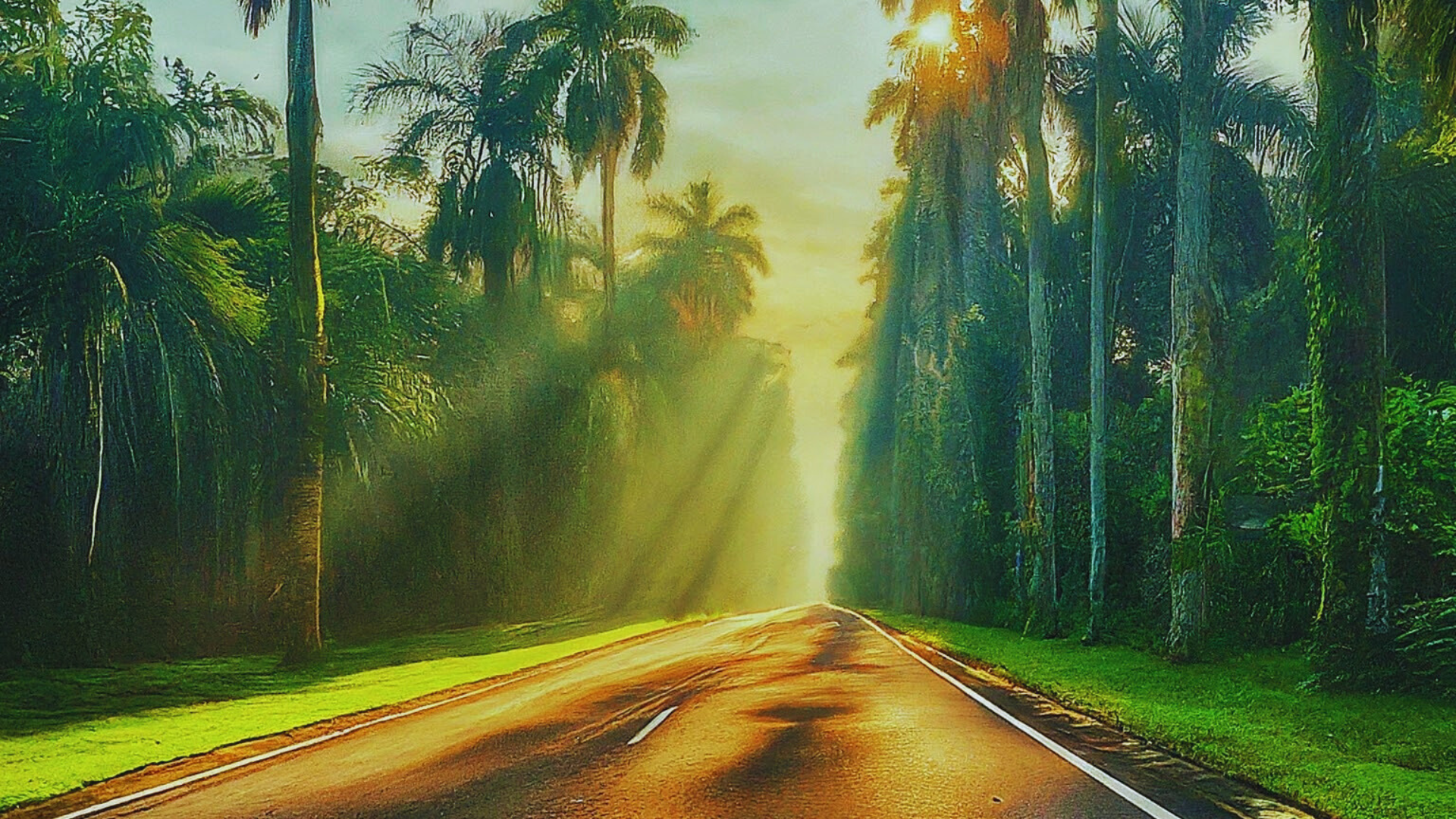 Editors%2 Fimages%2 F1718170348517 Holiday++%281%29